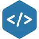 Software Developer
